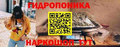 шишки Ставрополь